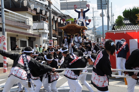 岸和田だんじり祭り 平成21年度 山滝地区 大澤町